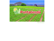 Tablet Screenshot of fincapuntagorda.es